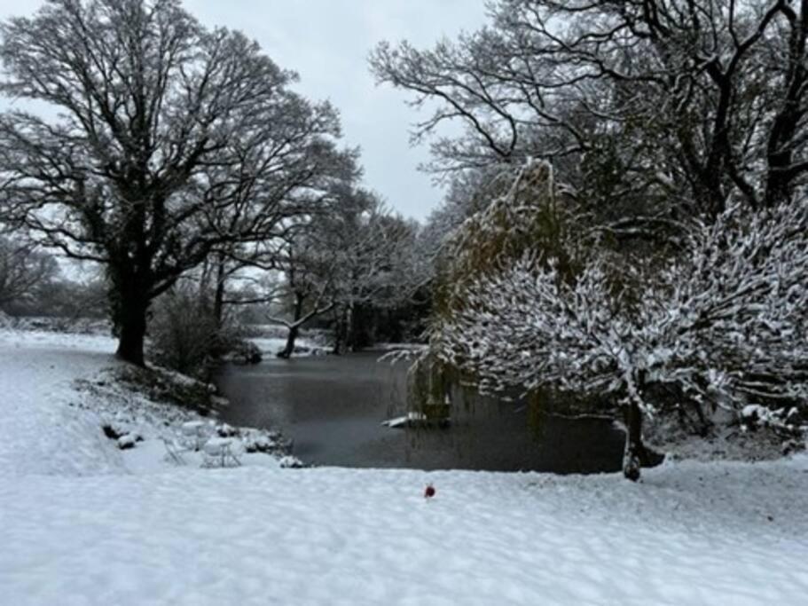 Charming Picturesque Cottage - Nr Tenterden & Rye, Pets Welcomed Rolvenden Екстериор снимка
