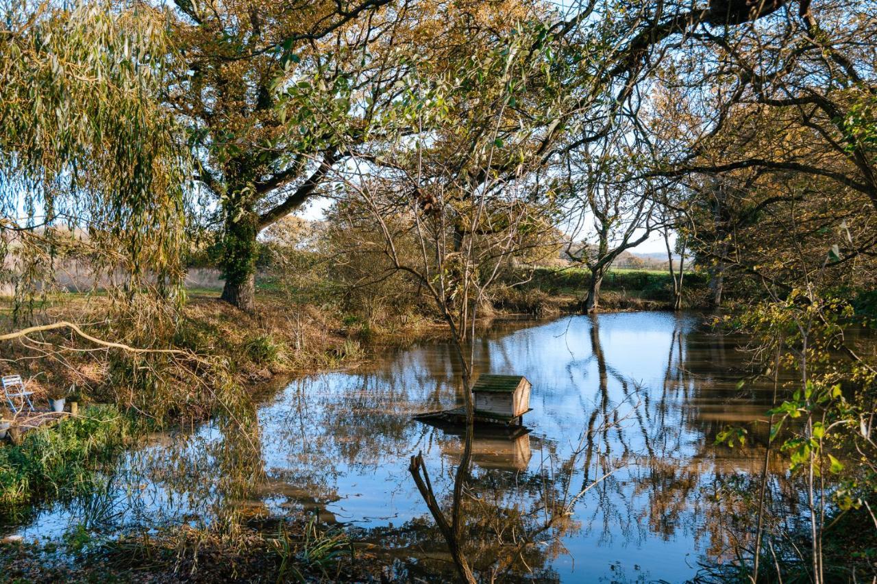 Charming Picturesque Cottage - Nr Tenterden & Rye, Pets Welcomed Rolvenden Екстериор снимка